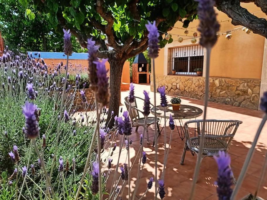 Mas Del Vent- Barbacoa, Jardin, Piscina Privada Y Vistas A Mar Βίλα Cunit Εξωτερικό φωτογραφία